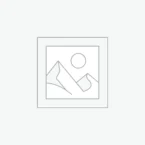 عنصر نائب Placeholder